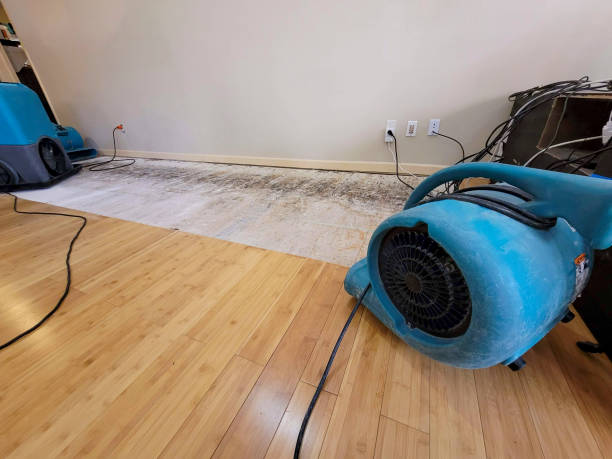 Professional Basement Flood Cleanup technician working in Brant, MI